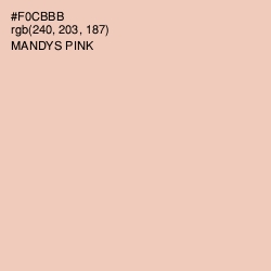#F0CBBB - Mandys Pink Color Image